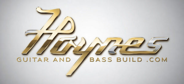 HAYNESGUITARANDBASSBUILD.COM