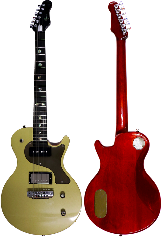 Haynes SC22 Custom Guitar