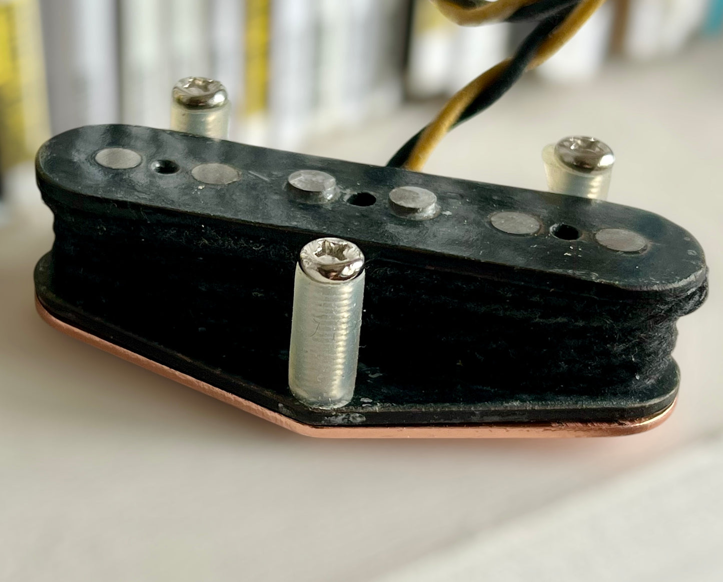 Haynes Golden Root Telecaster Blackguard Pickups
