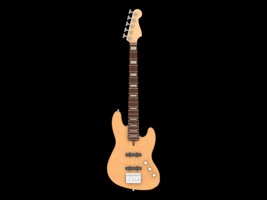 Custom Five String Haynes Jazz Bass